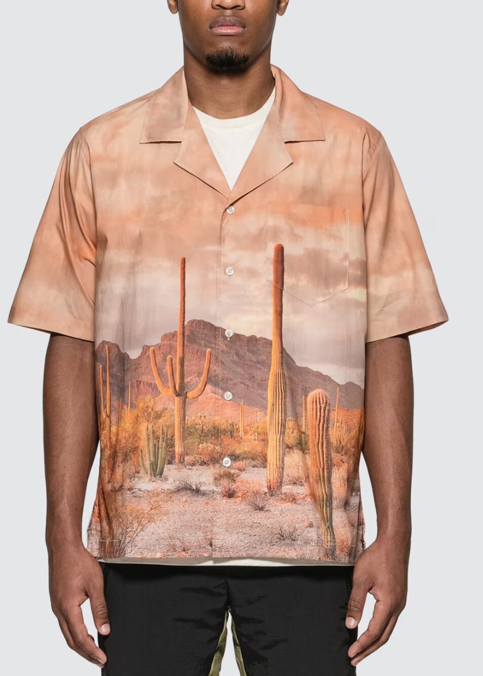 Rhude Shirt Mens 2XL Cactus Button Up Bowling Desert Multi Western Italy Scenic